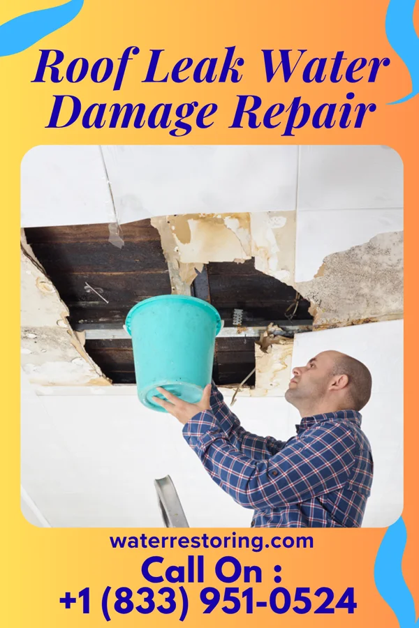 Roof Leak Water Damage Repair in Sentinel Butte, ND